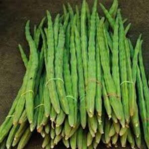 Drumstick (Murungai)